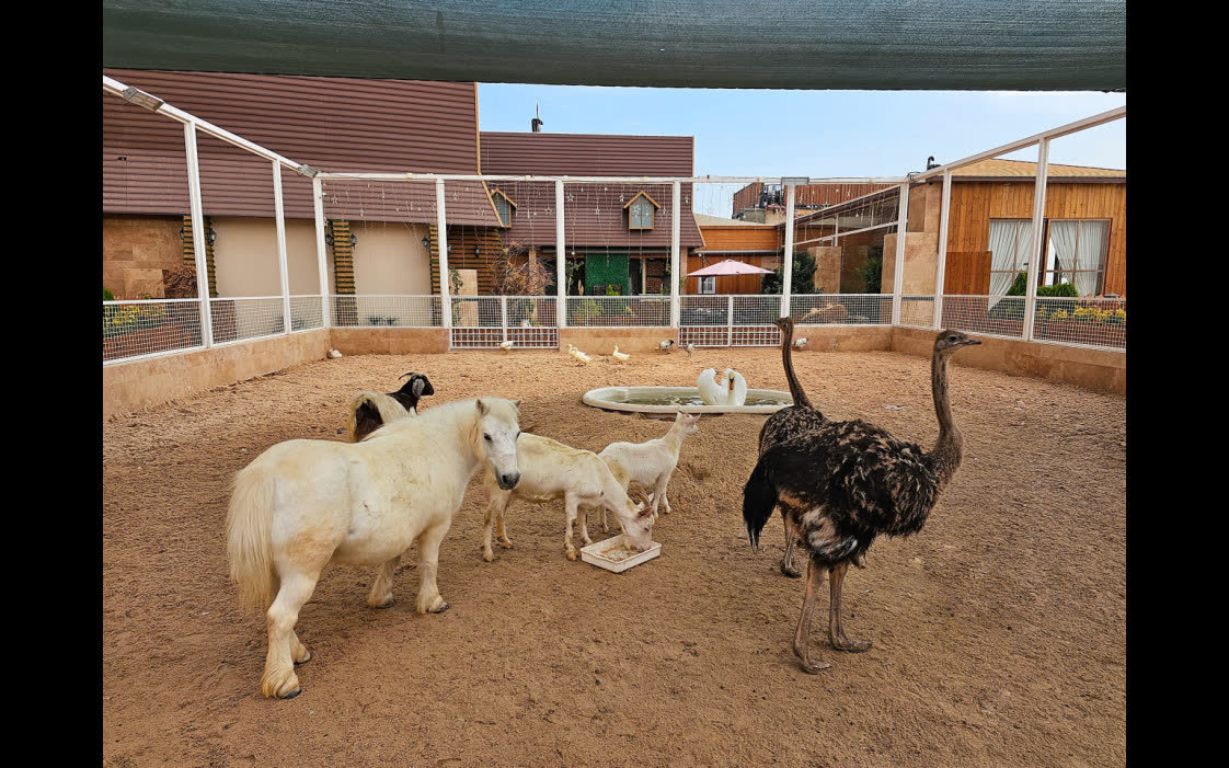 آرشیدا سفر رویایی - هتل پنج ستاره قصر طلائی